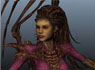 Kerrigan Rig